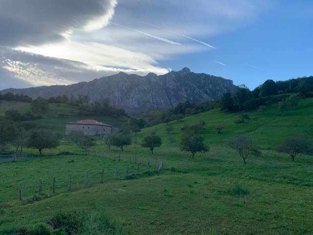 Cumbres De Picos Buhos *